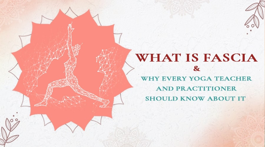 What Is Fascia