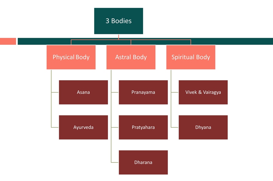 Holistic Health in Light of Yoga and AyurvedaHolistic Health in Light of Yoga and Ayurveda