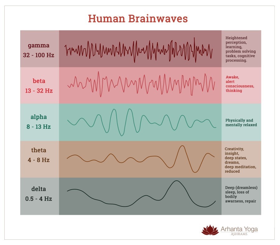 Human Brainwaves Human Brainwaves