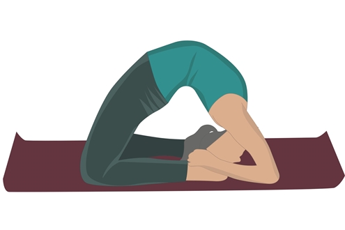 Dwi Pada Rajkapotasana – Purna Ushtrasana
