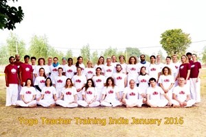 31_201601-hatha-yoga-course-India