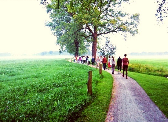 Arhanta Yoga Ashram Morning Walk Arhanta Yoga Ashram Morning Walk