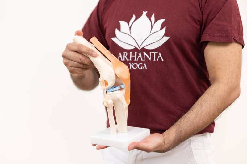 Knee joint Knee joint