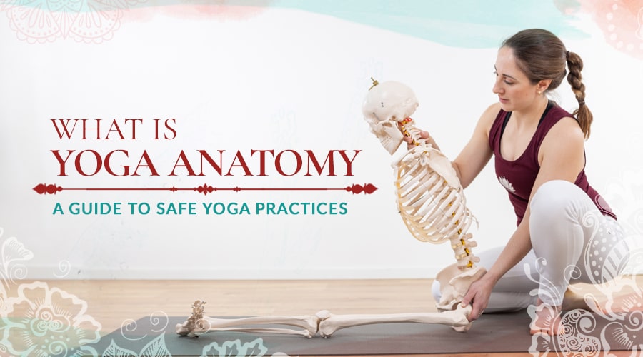 Yoga Anatomy