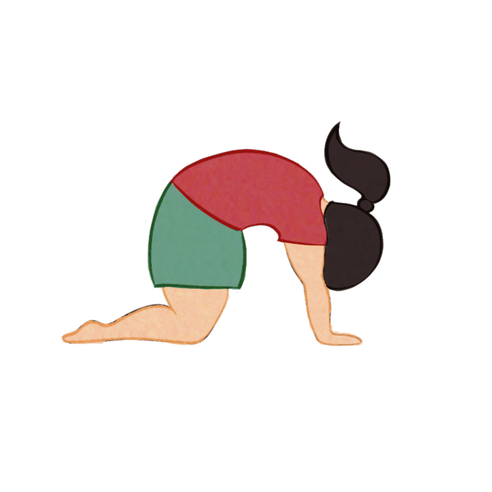 Cat Pose Cat Pose