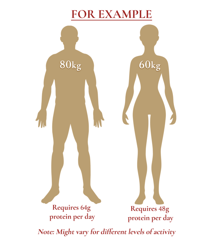 Protein Requirement Per Day Protein Requirement Per Day