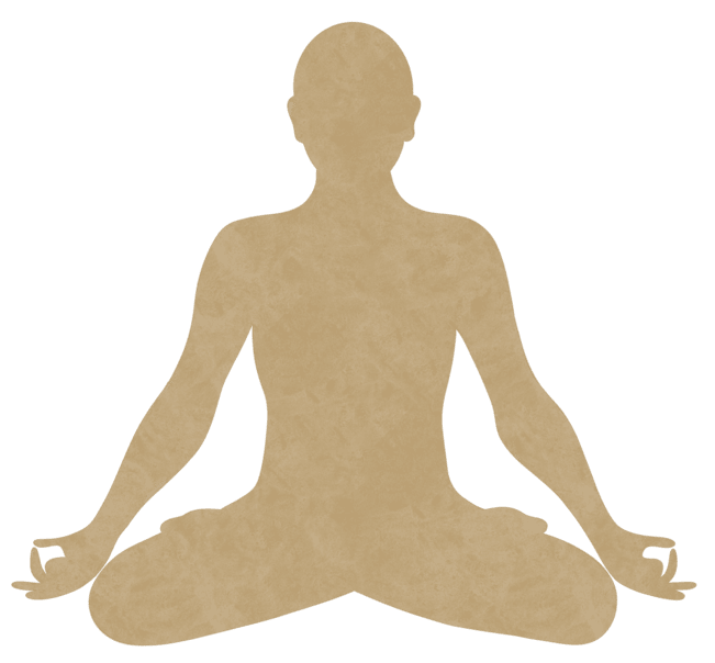 Pranamaya Kosha
