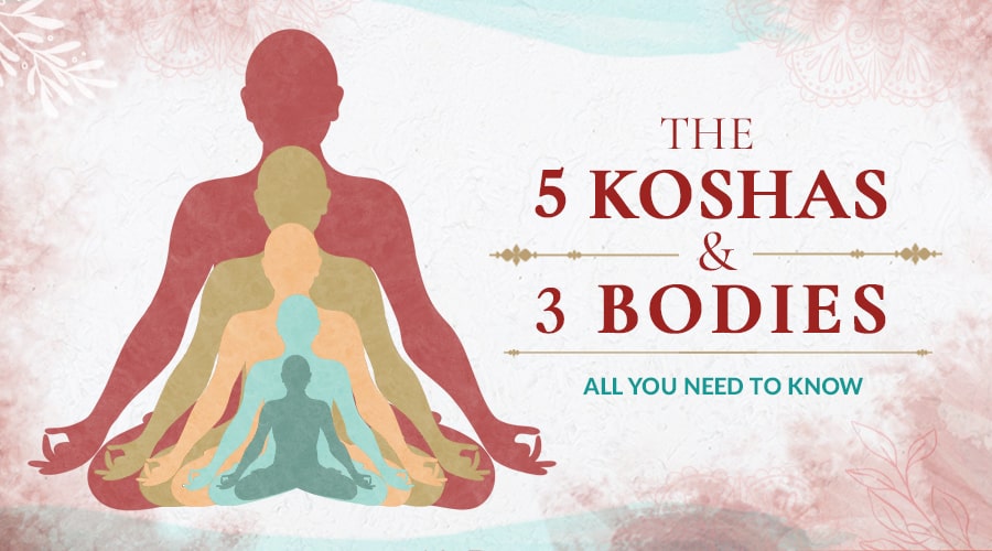 The 5 Koshas and 3 Bodies