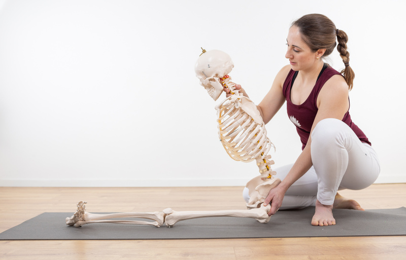 Physiology of yoga