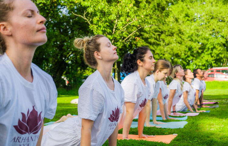 Vinyasa or Flow Yoga