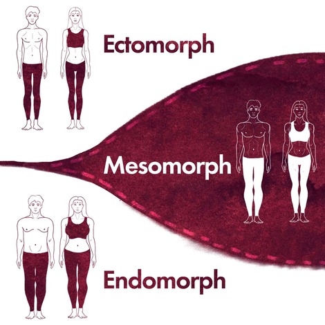 Plot Your Somatotype (Y Axis) Plot Your Somatotype (Y Axis)