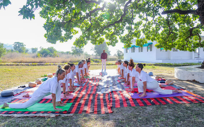 Yoga teacher training in India
