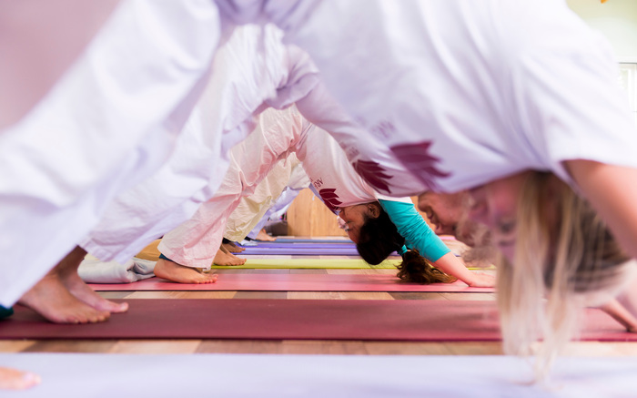 What Is Vinyasa Yoga