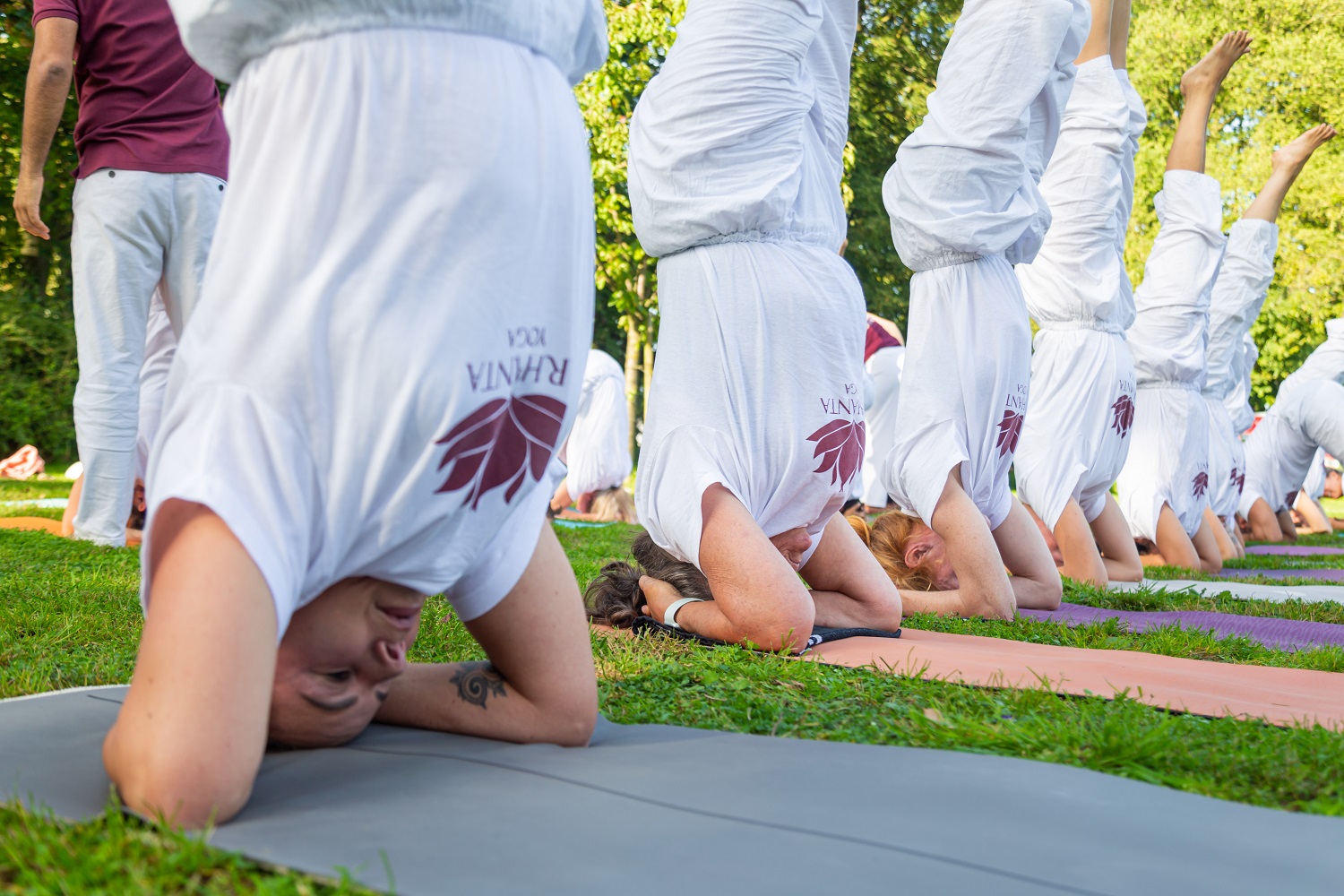 Outdoor headstand practice at yoga teacher training Group practicing head stand yoga pose outdoors during training