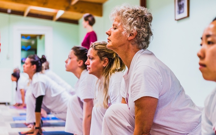 Group Vinyasa yoga class