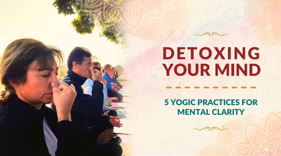 Detoxing Your Mind