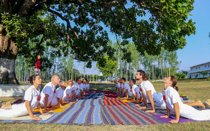Students learning yoga poses Students learning yoga poses