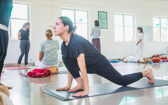 Yoga students practice transitions in yoga, stepping Forward from Downward Dog to Lunge