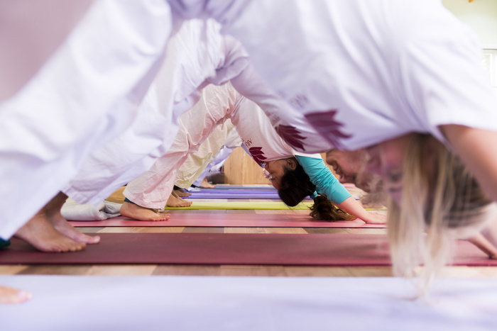 Group of students practicing downward dog at yoga ashram Group of students practicing downward dog at yoga ashram