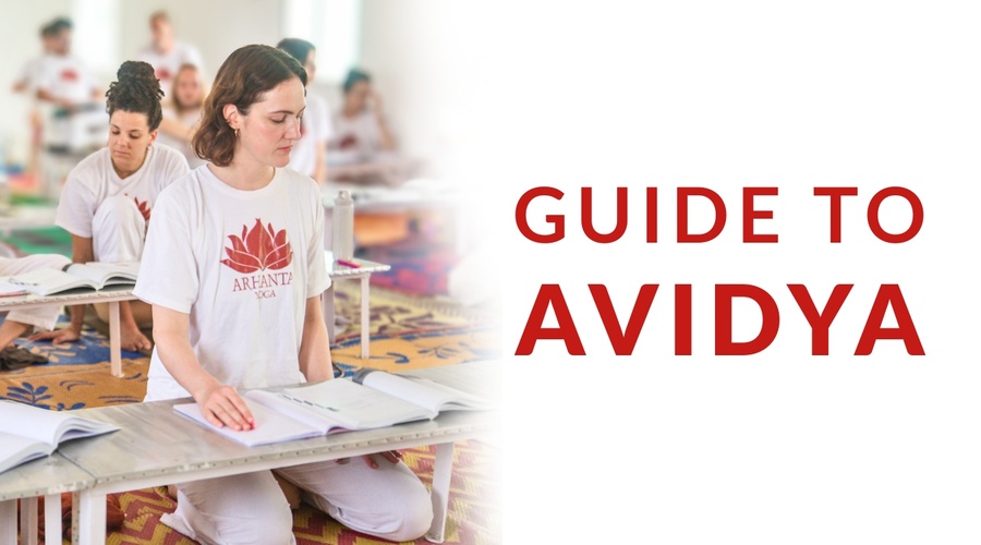 Guide to Avidya