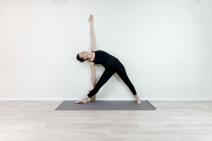 Triangle Pose Triangle Pose