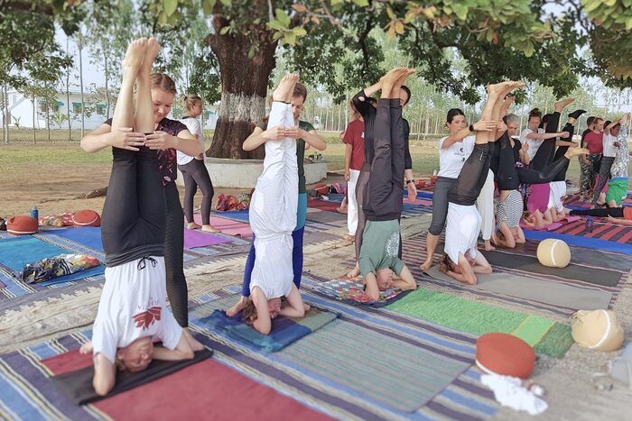 Handstand Pose - Adho Mukha Vrkshasana