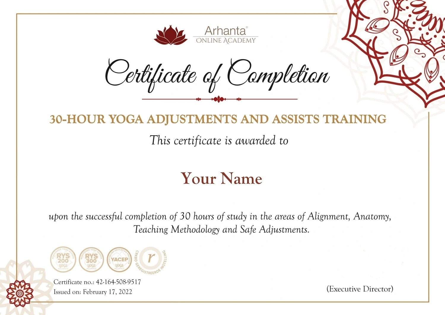 30 Hour Yoga Adjustments and Assists certification 30 Hour Yoga Adjustments and Assists certification