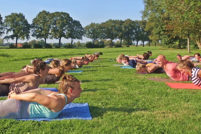 Group of students practicing Shalabhasana or Locust pose in a garden like setup